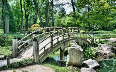 Charleston Itinerary