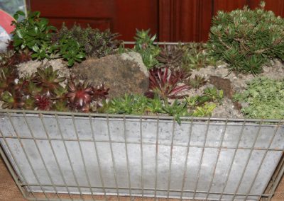 flower-show-provenance-in-club-show-2011-5