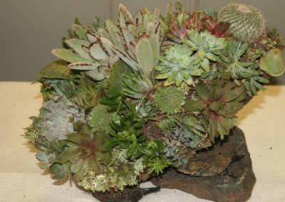 flower-shows-splish-splash-gca-show-4