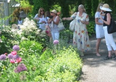 vg-martha-stewarts-garden-2010-5