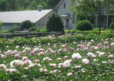vg-martha-stewarts-garden-2010-6