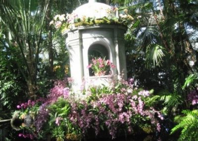 vg-new-york-botanical-orchid-show-2010-5